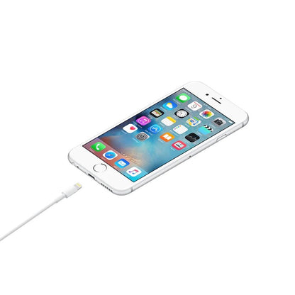 Kit Cargador iPhone Adaptador + Cable USB-C a Lightning